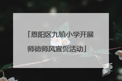 恩阳区九镇小学开展师德师风宣誓活动