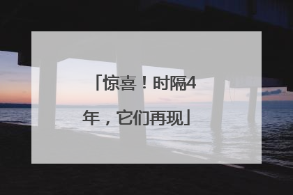 惊喜！时隔4年，它们再现