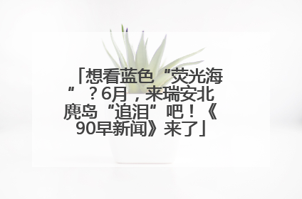想看蓝色“荧光海”？6月，来瑞安北麂岛“追泪”吧！《90早新闻》来了