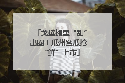戈壁棚里“甜”出圈！瓜州蜜瓜抢“鲜”上市