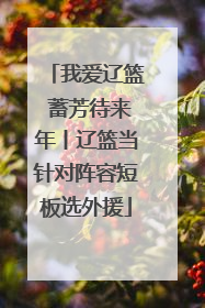 我爱辽篮 蓄芳待来年丨辽篮当针对阵容短板选外援