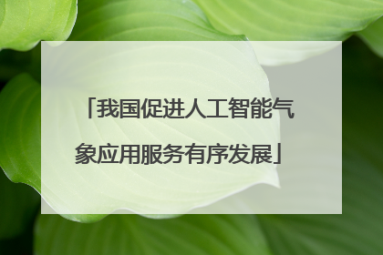 我国促进人工智能气象应用服务有序发展