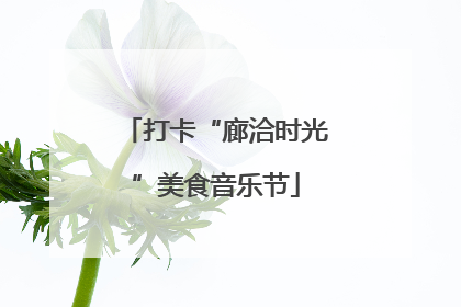 打卡“廊洽时光”美食音乐节