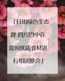 打出绿色生态牌 四川巴中在蓉对优质食材进行组团推介