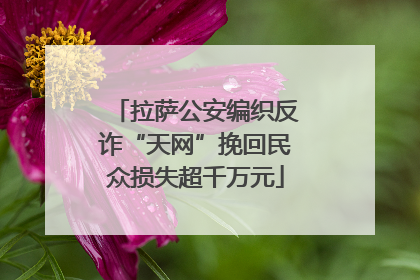 拉萨公安编织反诈“天网”挽回民众损失超千万元