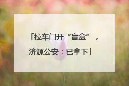 拉车门开“盲盒”，济源公安：已拿下
