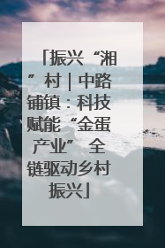 振兴“湘”村｜中路铺镇：科技赋能“金蛋产业” 全链驱动乡村振兴