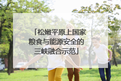 松嫩平原上国家粮食与能源安全的三峡融合示范