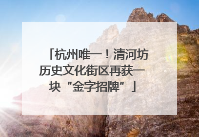 杭州唯一！清河坊历史文化街区再获一块“金字招牌”