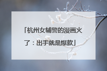 杭州女辅警的漫画火了：出手就是爆款