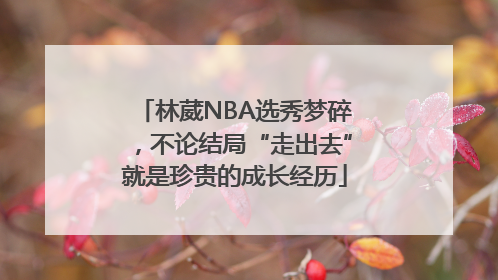 林葳NBA选秀梦碎，不论结局“走出去”就是珍贵的成长经历