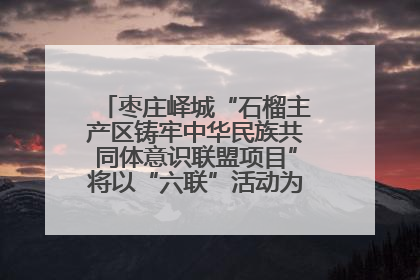 枣庄峄城“石榴主产区铸牢中华民族共同体意识联盟项目”将以“六联”活动为抓手深化品牌建设