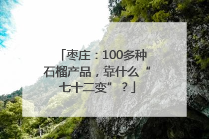 枣庄：100多种石榴产品，靠什么“七十二变”？