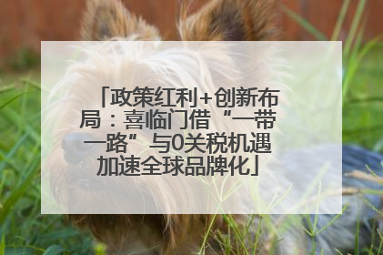 政策红利+创新布局：喜临门借“一带一路”与0关税机遇加速全球品牌化