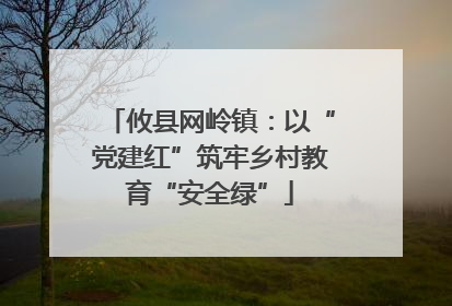 攸县网岭镇：以“党建红”筑牢乡村教育“安全绿”