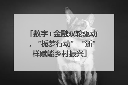 数字+金融双轮驱动，“栀梦行动”“浙”样赋能乡村振兴