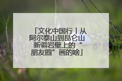 文化中国行丨从阿尔泰山到昆仑山 新疆岩壁上的“朋友圈”画的啥