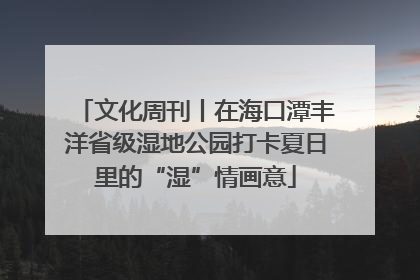 文化周刊丨在海口潭丰洋省级湿地公园打卡夏日里的“湿”情画意