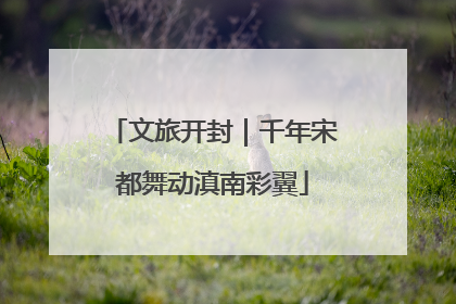 文旅开封｜千年宋都舞动滇南彩翼