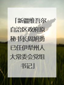 新疆维吾尔自治区政府原秘书长周旭勇已任伊犁州人大常委会党组书记