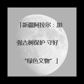 新疆阿拉尔：加强古树保护 守好“绿色文物”