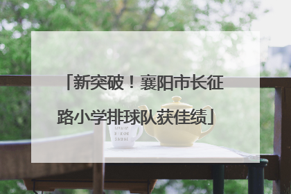新突破！襄阳市长征路小学排球队获佳绩