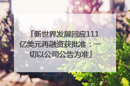 新世界发展回应111亿美元再融资获批准：一切以公司公告为准