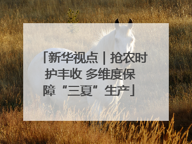 新华视点｜抢农时 护丰收 多维度保障“三夏”生产