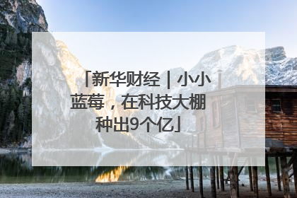 新华财经｜小小蓝莓，在科技大棚种出9个亿