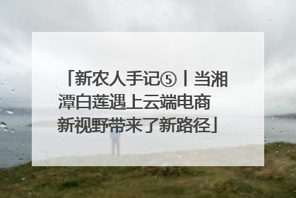 新农人手记⑤丨当湘潭白莲遇上云端电商 新视野带来了新路径
