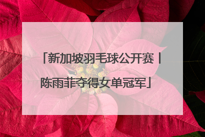 新加坡羽毛球公开赛丨陈雨菲夺得女单冠军