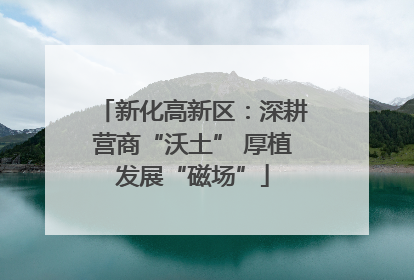 新化高新区：深耕营商“沃土” 厚植发展“磁场”