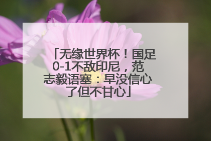 无缘世界杯！国足0-1不敌印尼，范志毅语塞：早没信心了但不甘心