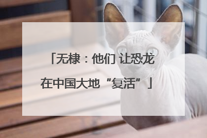 无棣：他们 让恐龙在中国大地“复活”