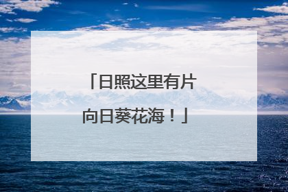 日照这里有片向日葵花海！