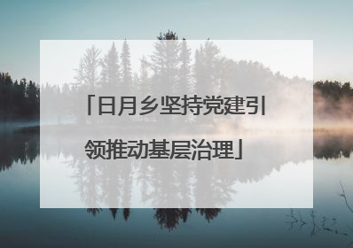 日月乡坚持党建引领推动基层治理