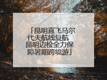 昆明直飞马尔代夫航线复航 昆明边检全力保障暑期跨境游