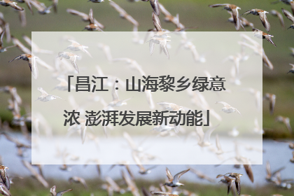 昌江：山海黎乡绿意浓 澎湃发展新动能