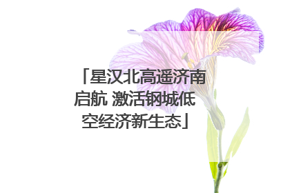星汉北高遥济南启航 激活钢城低空经济新生态