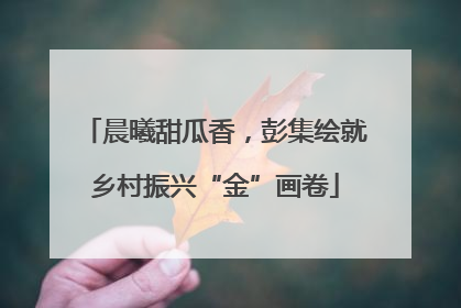 晨曦甜瓜香，彭集绘就乡村振兴“金”画卷