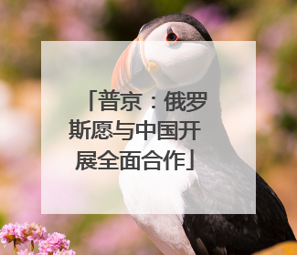 普京：俄罗斯愿与中国开展全面合作