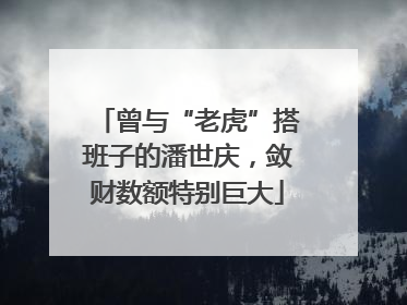 曾与“老虎”搭班子的潘世庆，敛财数额特别巨大