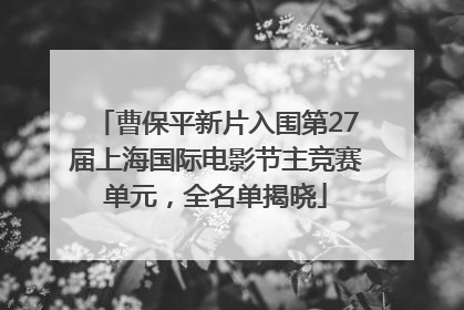 曹保平新片入围第27届上海国际电影节主竞赛单元，全名单揭晓