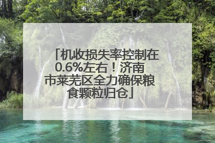 机收损失率控制在0.6%左右！济南市莱芜区全力确保粮食颗粒归仓