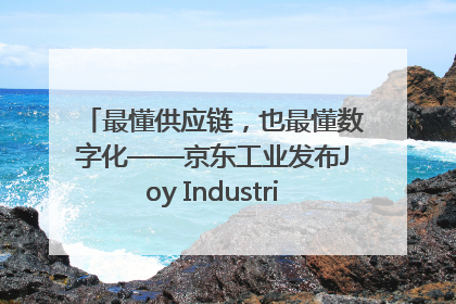 最懂供应链，也最懂数字化——京东工业发布Joy Industrial 重塑工业未来