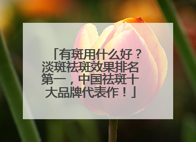 有斑用什么好？淡斑祛斑效果排名第一，中国祛斑十大品牌代表作！