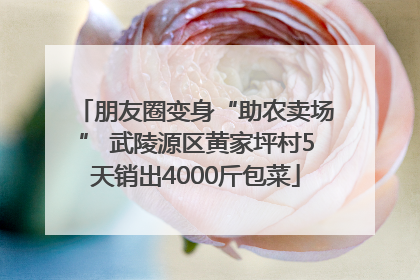 朋友圈变身“助农卖场” 武陵源区黄家坪村5天销出4000斤包菜