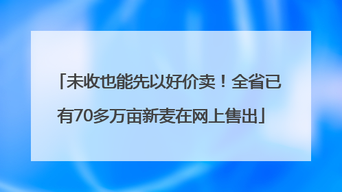 未收也能先以好价卖！全省已有70多万亩新麦在网上售出