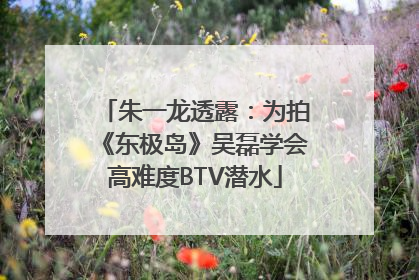 朱一龙透露：为拍《东极岛》吴磊学会高难度BTV潜水
