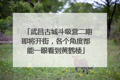武昌古城斗级营二期即将开街，各个角度都能一眼看到黄鹤楼